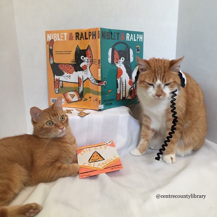 This Library Attracts The Public By Dressing Up One Librarian&#8217;s Cat As Literary And Movie Icons (100 Pics)