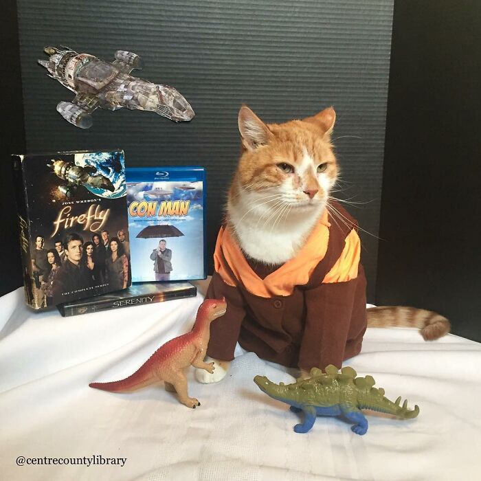 This Library Attracts The Public By Dressing Up One Librarian&#8217;s Cat As Literary And Movie Icons (100 Pics)
