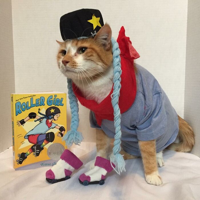 This Library Attracts The Public By Dressing Up One Librarian&#8217;s Cat As Literary And Movie Icons (100 Pics)