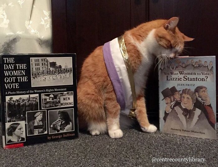 This Library Attracts The Public By Dressing Up One Librarian&#8217;s Cat As Literary And Movie Icons (100 Pics)