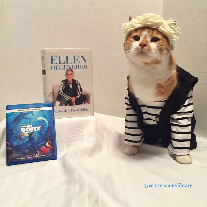 This Library Attracts The Public By Dressing Up One Librarian&#8217;s Cat As Literary And Movie Icons (100 Pics)