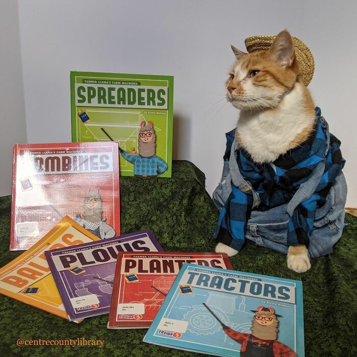 This Library Attracts The Public By Dressing Up One Librarian&#8217;s Cat As Literary And Movie Icons (100 Pics)