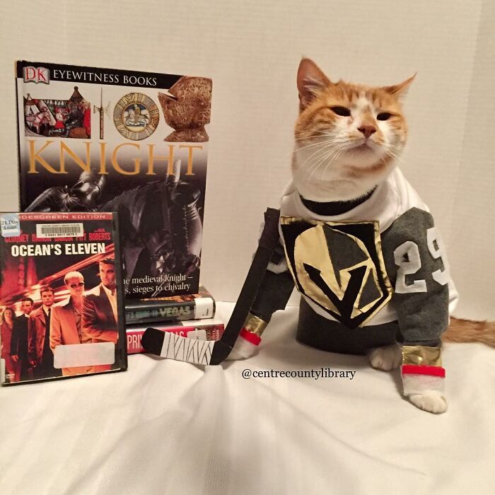 This Library Attracts The Public By Dressing Up One Librarian&#8217;s Cat As Literary And Movie Icons (100 Pics)