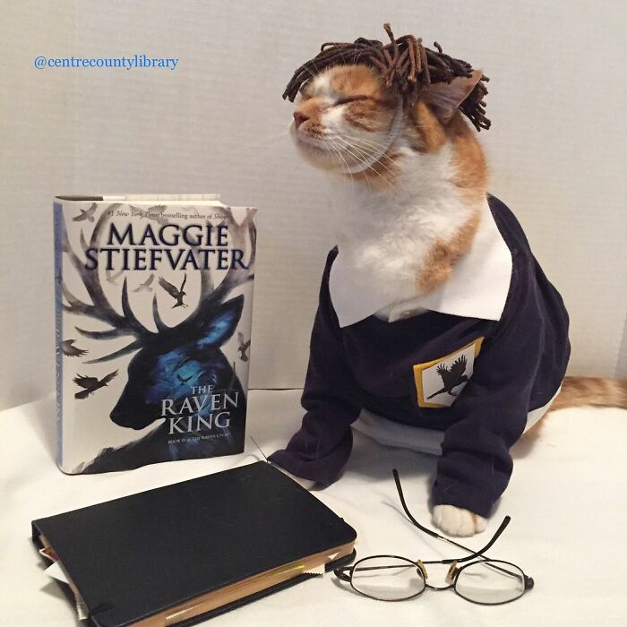 This Library Attracts The Public By Dressing Up One Librarian&#8217;s Cat As Literary And Movie Icons (100 Pics)
