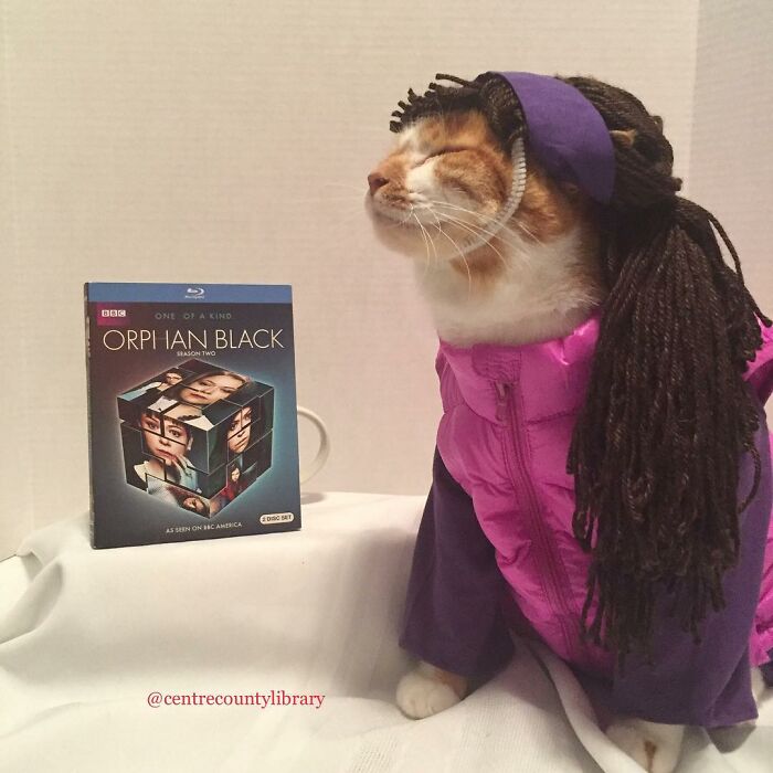 This Library Attracts The Public By Dressing Up One Librarian&#8217;s Cat As Literary And Movie Icons (100 Pics)