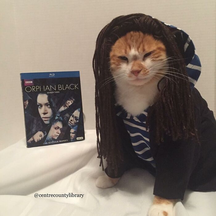 This Library Attracts The Public By Dressing Up One Librarian&#8217;s Cat As Literary And Movie Icons (100 Pics)