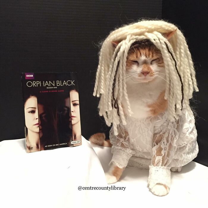 This Library Attracts The Public By Dressing Up One Librarian&#8217;s Cat As Literary And Movie Icons (100 Pics)