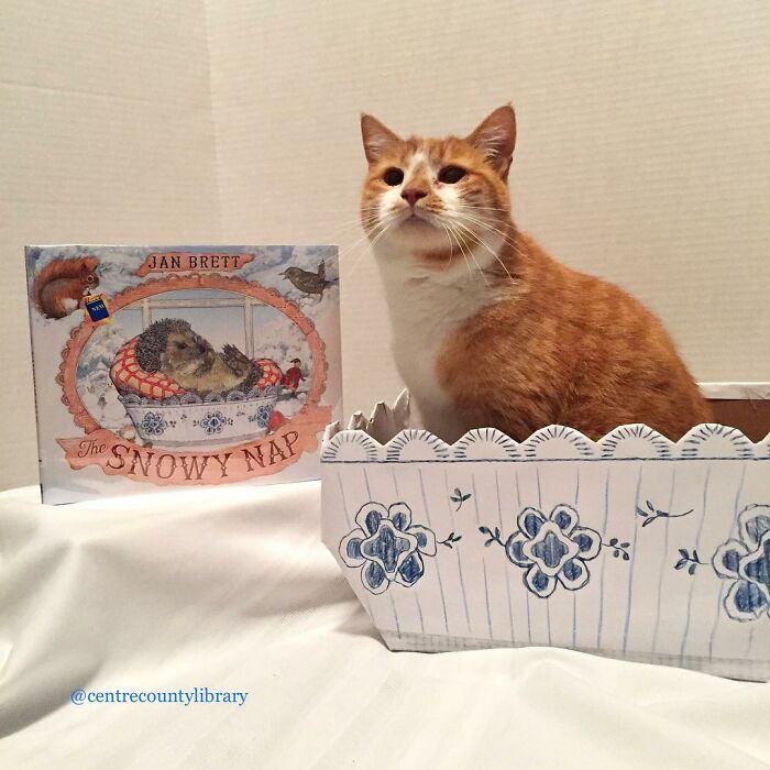 This Library Attracts The Public By Dressing Up One Librarian&#8217;s Cat As Literary And Movie Icons (100 Pics)