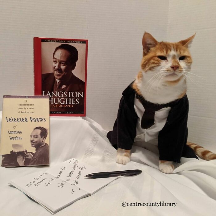 This Library Attracts The Public By Dressing Up One Librarian&#8217;s Cat As Literary And Movie Icons (100 Pics)