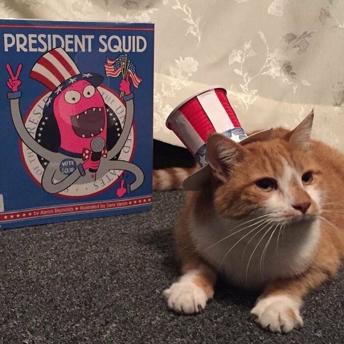 This Library Attracts The Public By Dressing Up One Librarian&#8217;s Cat As Literary And Movie Icons (100 Pics)