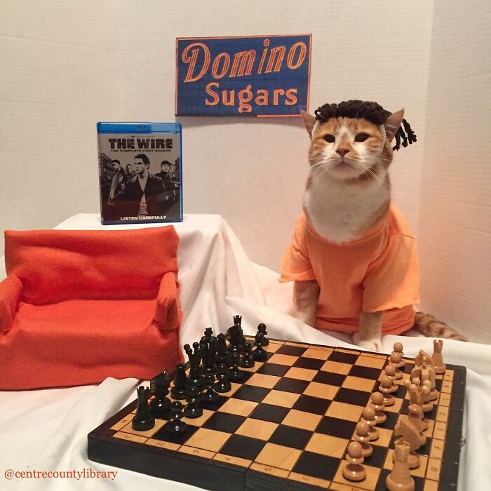 This Library Attracts The Public By Dressing Up One Librarian&#8217;s Cat As Literary And Movie Icons (100 Pics)