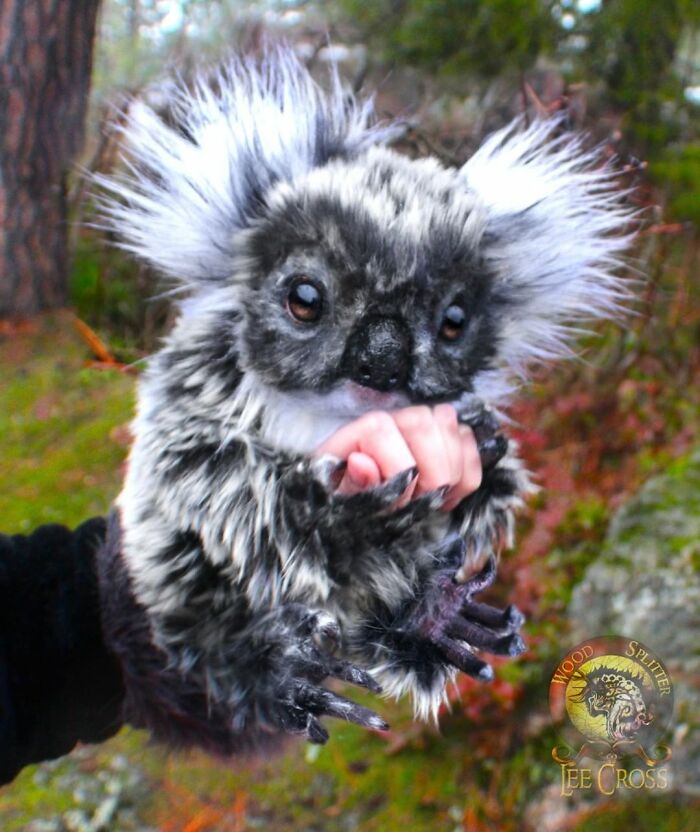 116 Incredibly Cute Animal Sculptures Made By Lee Cross 116 Incredibly Cute Animal Sculptures Made By Lee Cross