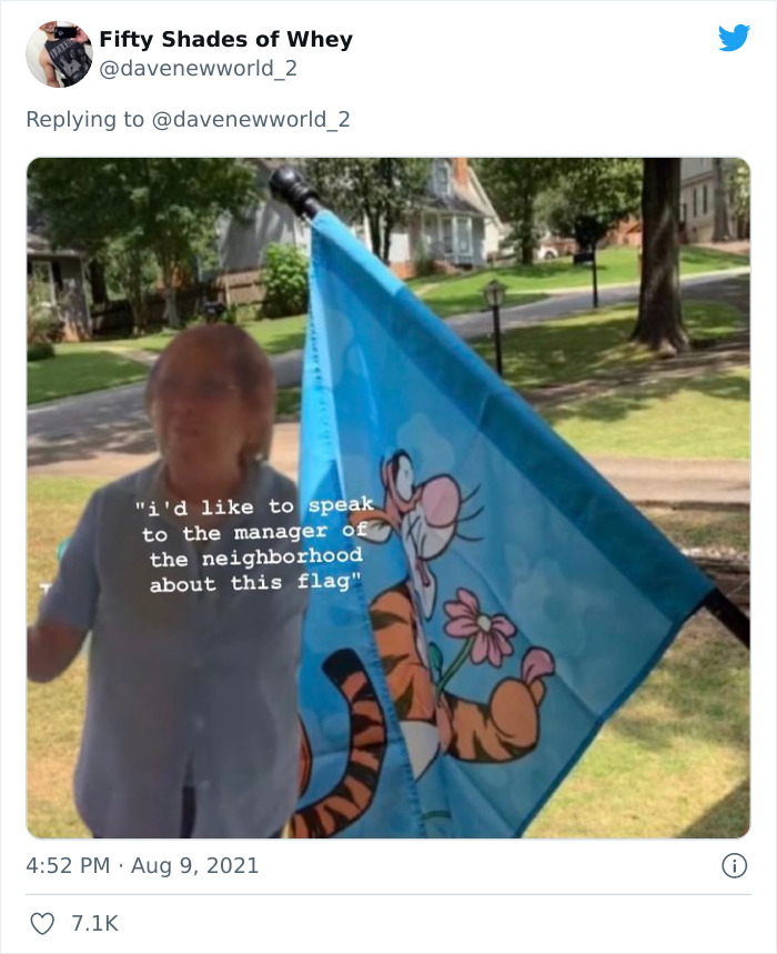 Joyless Karen Is Triggered By A Tigger Flag That Her Neighbor Has, Goes Viral On TikTok Joyless Karen Is Triggered By A Tigger Flag That Her Neighbor Has, Goes Viral On TikTok