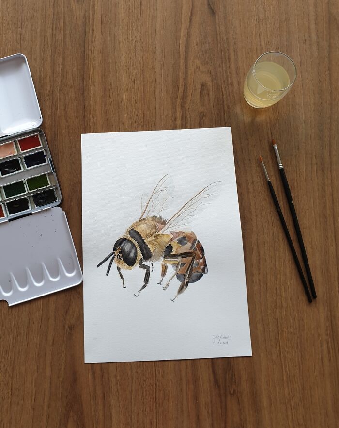 Hey Pandas, Put Your Best Drawing In Here (Closed)