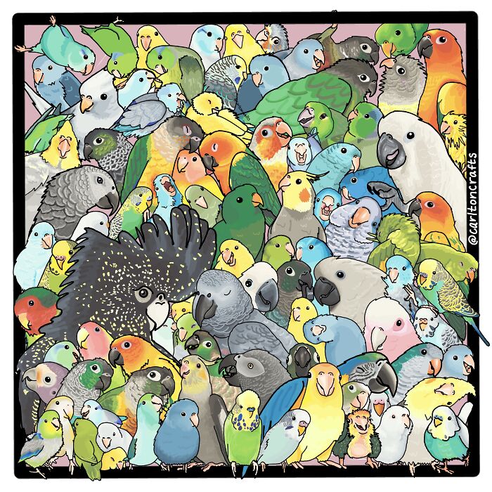 Hey Pandas, Put Your Best Drawing In Here (Closed)