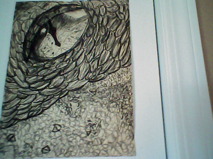 Hey Pandas, Put Your Best Drawing In Here (Closed)