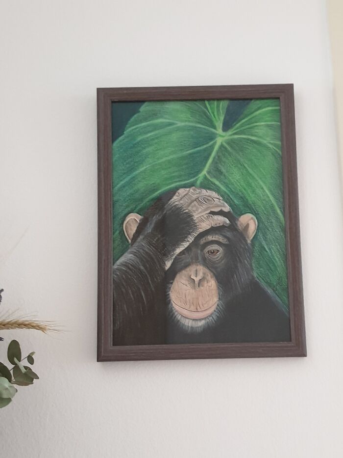 Hey Pandas, Put Your Best Drawing In Here (Closed)