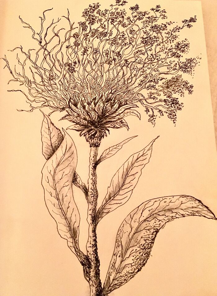 Hey Pandas, Put Your Best Drawing In Here (Closed) Hey Pandas, Put Your Best Drawing In Here (Closed)