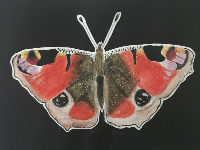 Hey Pandas, Put Your Best Drawing In Here (Closed)