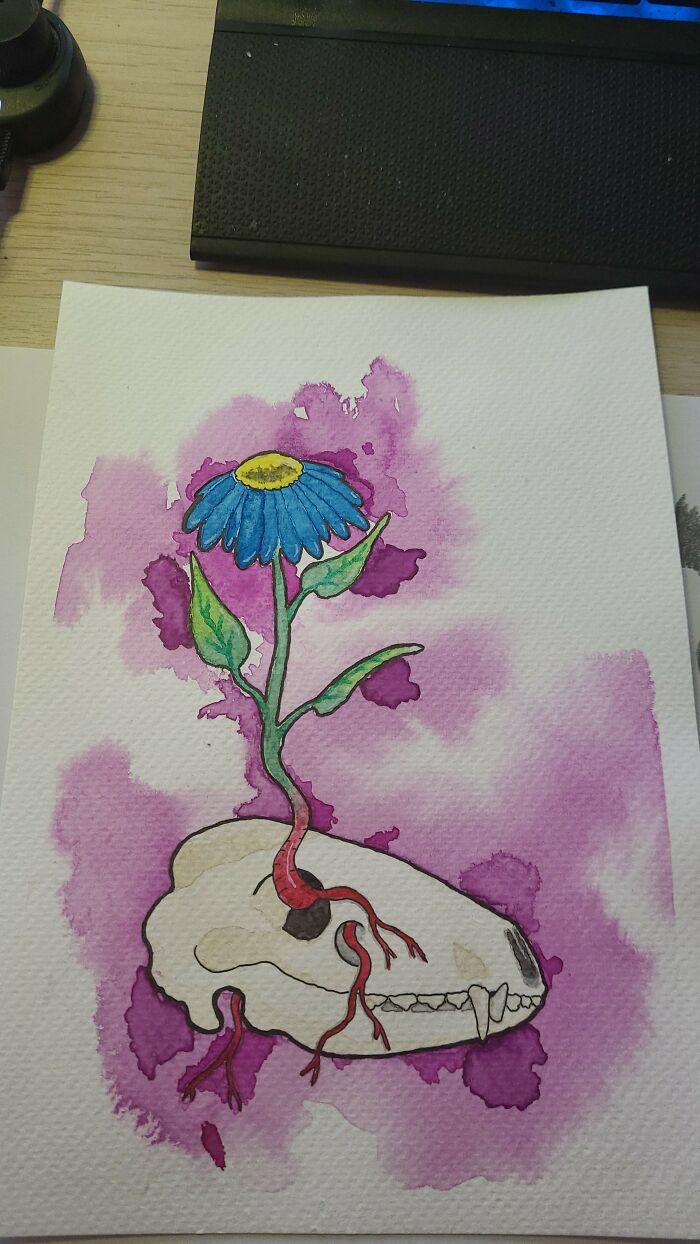 Hey Pandas, Put Your Best Drawing In Here (Closed) Hey Pandas, Put Your Best Drawing In Here (Closed)