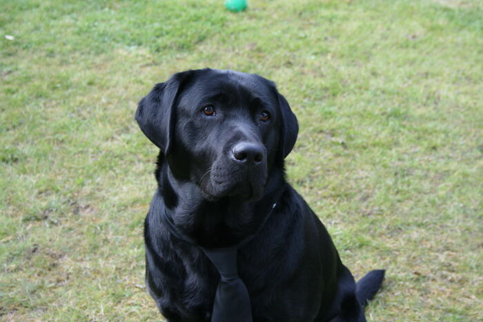 29 Petty Things People Actually Did To Take Revenge On Neighbors 29 Petty Things People Actually Did To Take Revenge On Neighbors