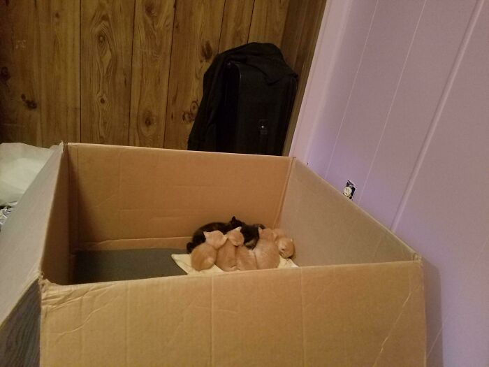 50 Times People Couldn’t Believe Their Luck While Dumpster Diving 50 Times People Couldn’t Believe Their Luck While Dumpster Diving