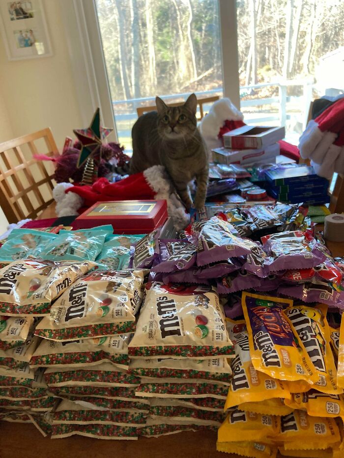 50 Times People Couldn’t Believe Their Luck While Dumpster Diving 50 Times People Couldn’t Believe Their Luck While Dumpster Diving