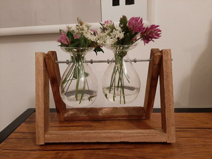 50 Times People Couldn’t Believe Their Luck While Dumpster Diving 50 Times People Couldn’t Believe Their Luck While Dumpster Diving