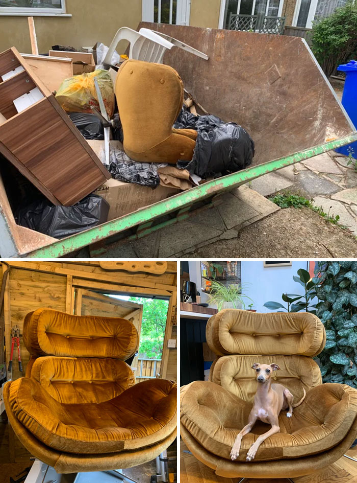 50 Times People Couldn’t Believe Their Luck While Dumpster Diving 50 Times People Couldn’t Believe Their Luck While Dumpster Diving