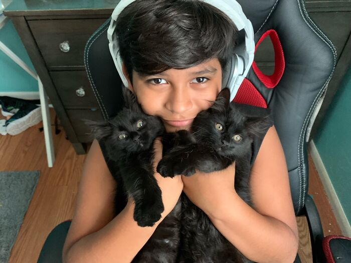 Hey Pandas, Post A Picture Of Your Cat For International Cat Day