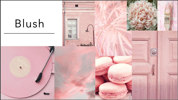 Hey Pandas, Show Us Some Beautiful, Rare Colors (Closed) Hey Pandas, Show Us Some Beautiful, Rare Colors (Closed)