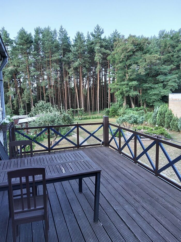 Hey Pandas, Show Us Your Summery Backyards (Closed) Hey Pandas, Show Us Your Summery Backyards (Closed)