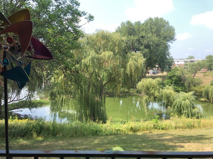 Hey Pandas, Show Us Your Summery Backyards (Closed) Hey Pandas, Show Us Your Summery Backyards (Closed)