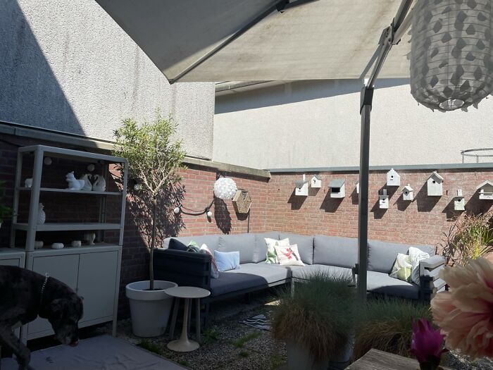 Hey Pandas, Show Us Your Summery Backyards (Closed) Hey Pandas, Show Us Your Summery Backyards (Closed)