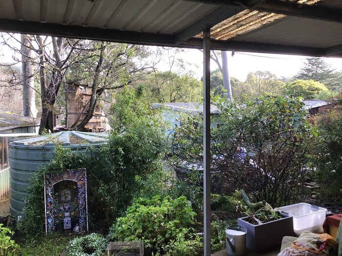 Hey Pandas, Show Us Your Summery Backyards (Closed) Hey Pandas, Show Us Your Summery Backyards (Closed)