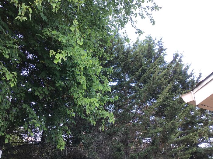 Hey Pandas, Show Us Your Summery Backyards (Closed) Hey Pandas, Show Us Your Summery Backyards (Closed)