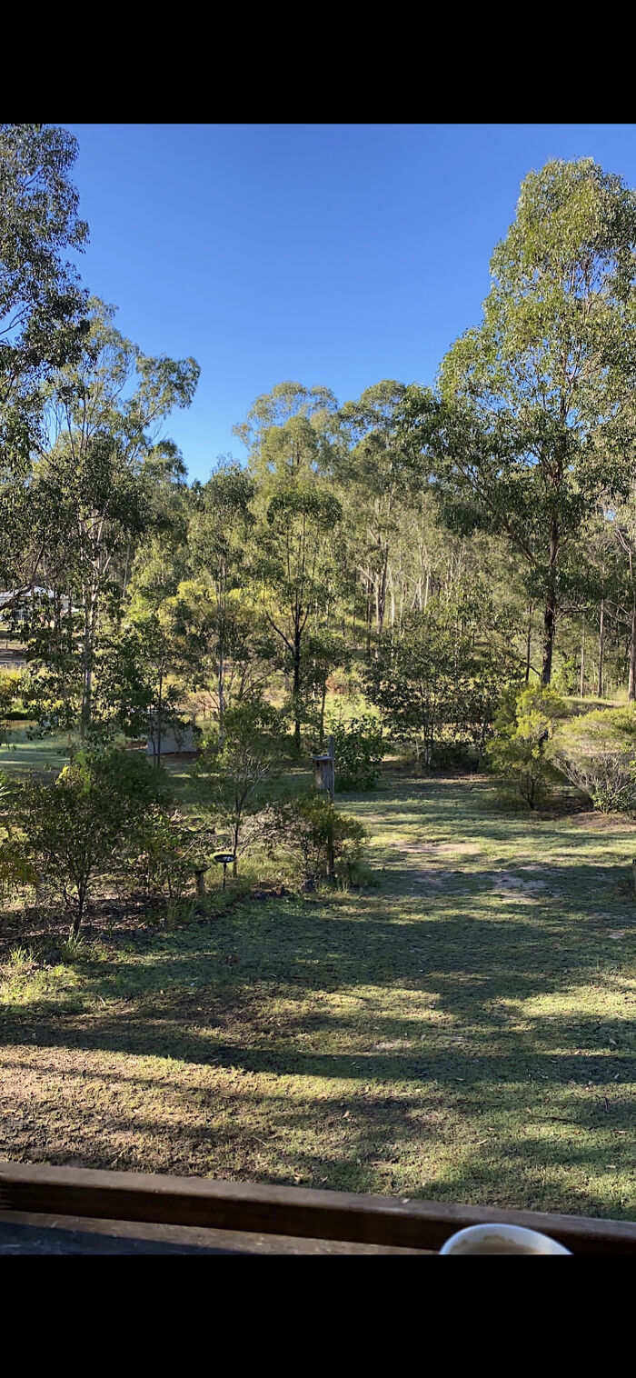 Hey Pandas, Show Us Your Summery Backyards (Closed) Hey Pandas, Show Us Your Summery Backyards (Closed)