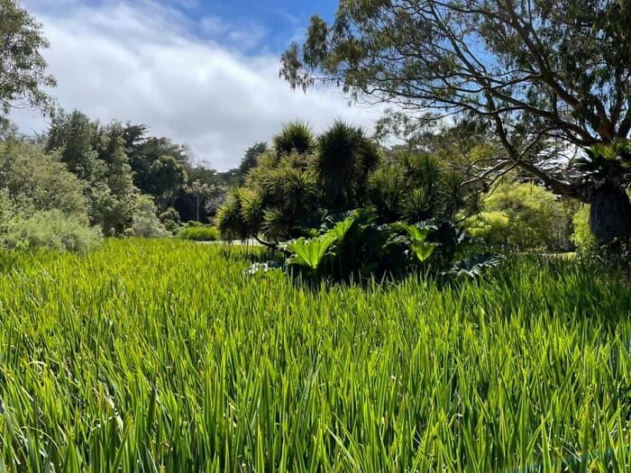 Hey Pandas, Show Us Your Summery Backyards (Closed) Hey Pandas, Show Us Your Summery Backyards (Closed)