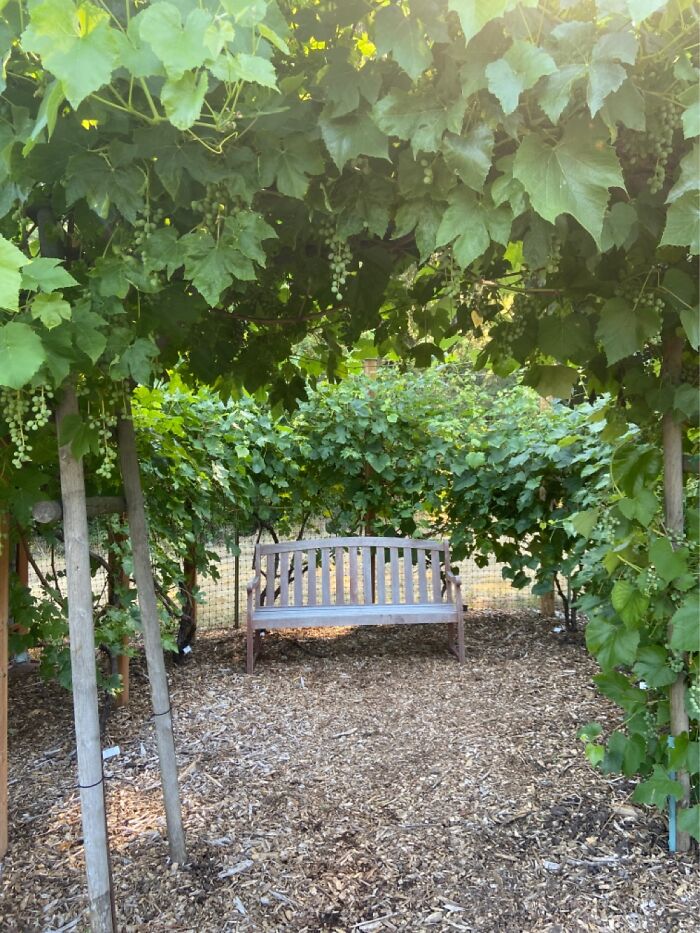 Hey Pandas, Show Us Your Summery Backyards (Closed) Hey Pandas, Show Us Your Summery Backyards (Closed)