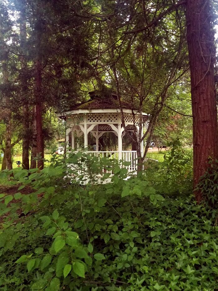 Hey Pandas, Show Us Your Summery Backyards (Closed) Hey Pandas, Show Us Your Summery Backyards (Closed)