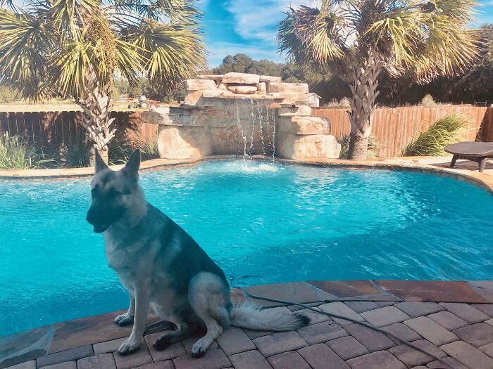 Hey Pandas, Show Us Your Summery Backyards (Closed) Hey Pandas, Show Us Your Summery Backyards (Closed)