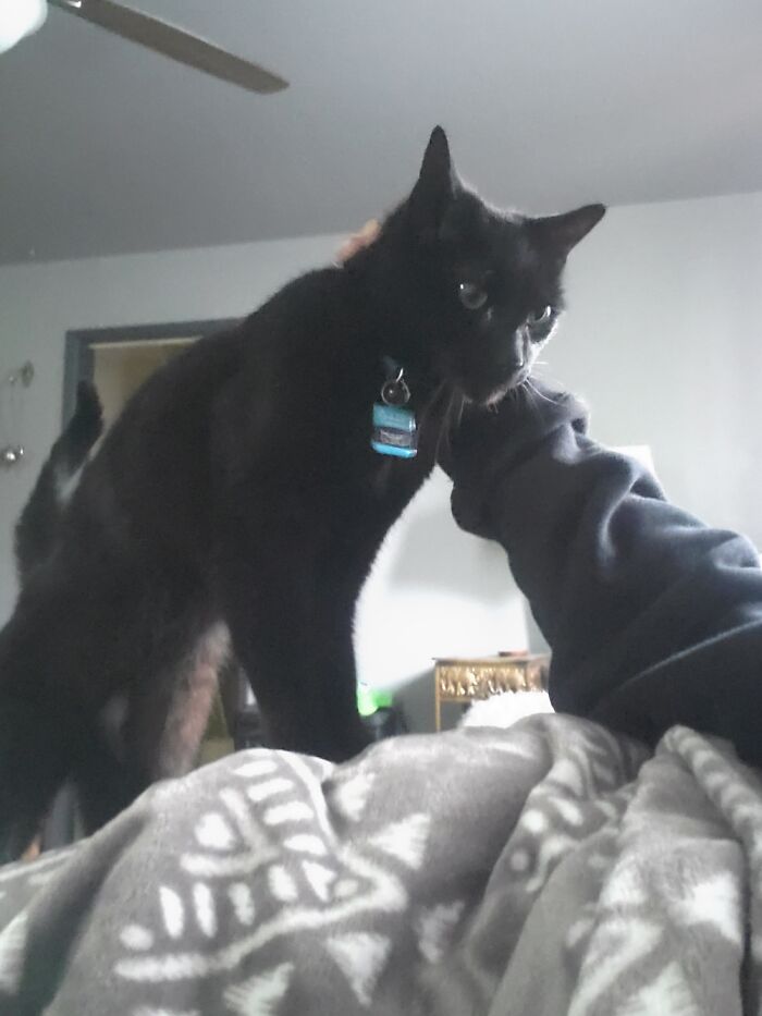 Hey Pandas, Post A Picture Of Your Pet Being Derpy (Closed) Hey Pandas, Post A Picture Of Your Pet Being Derpy (Closed)