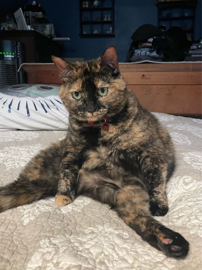 Hey Pandas, Post A Picture Of Your Pet Being Derpy (Closed) Hey Pandas, Post A Picture Of Your Pet Being Derpy (Closed)