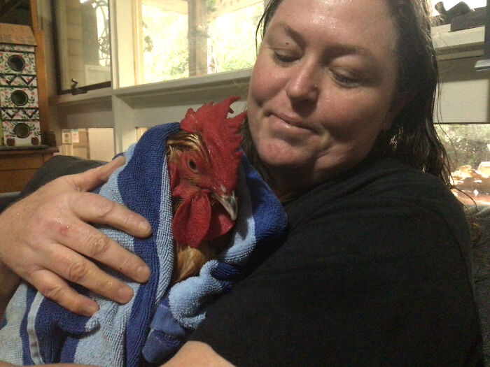 Hey Pandas, Post A Picture Of Your Pet Being Derpy (Closed) Hey Pandas, Post A Picture Of Your Pet Being Derpy (Closed)