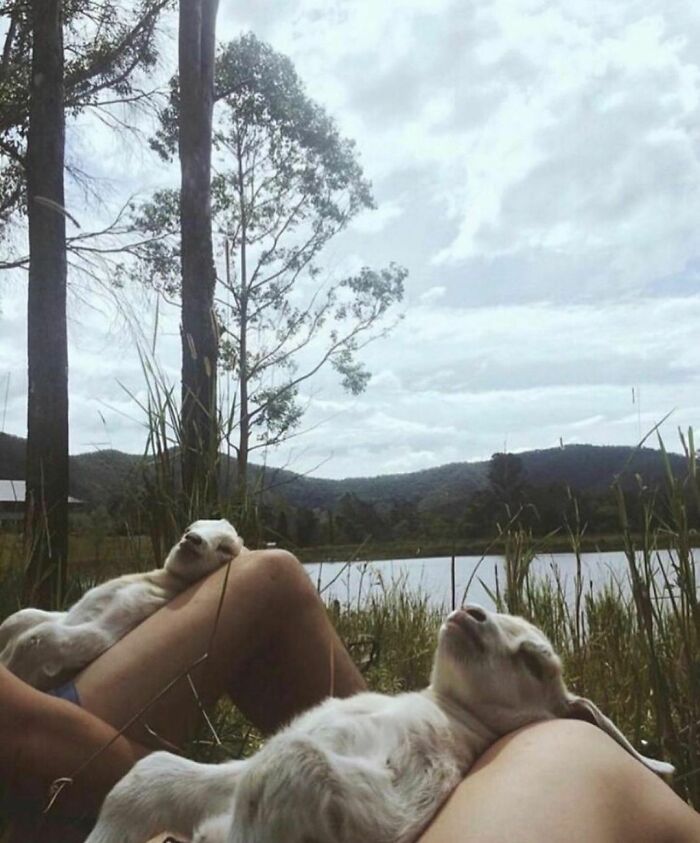 50 Photos Of Animals Just Living Their Best Life, As Shared On This Instagram Page 50 Photos Of Animals Just Living Their Best Life, As Shared On This Instagram Page