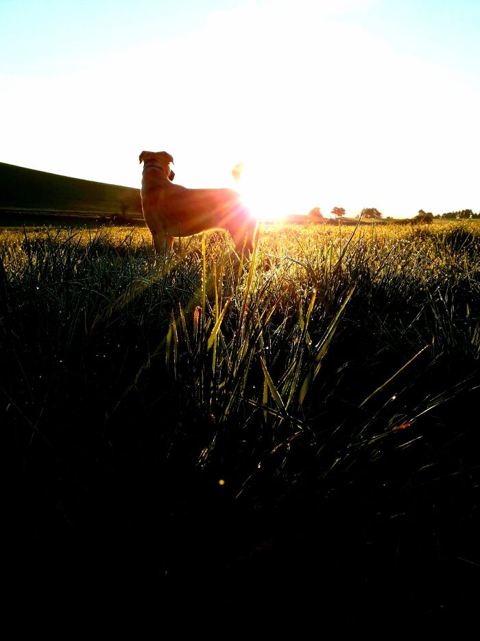 Hey Pandas, Show Us Your Best Photography Hey Pandas, Show Us Your Best Photography