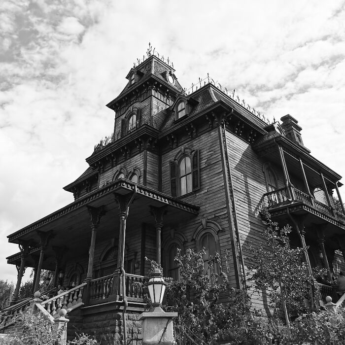 Hey Pandas, Show Us Your Best Photography Hey Pandas, Show Us Your Best Photography