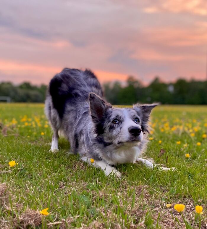 Hey Pandas, Show Us Your Best Photography Hey Pandas, Show Us Your Best Photography