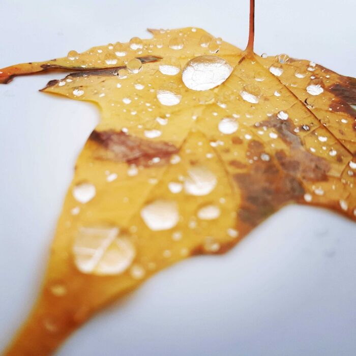 Hey Pandas, Show Us Your Best Photography Hey Pandas, Show Us Your Best Photography