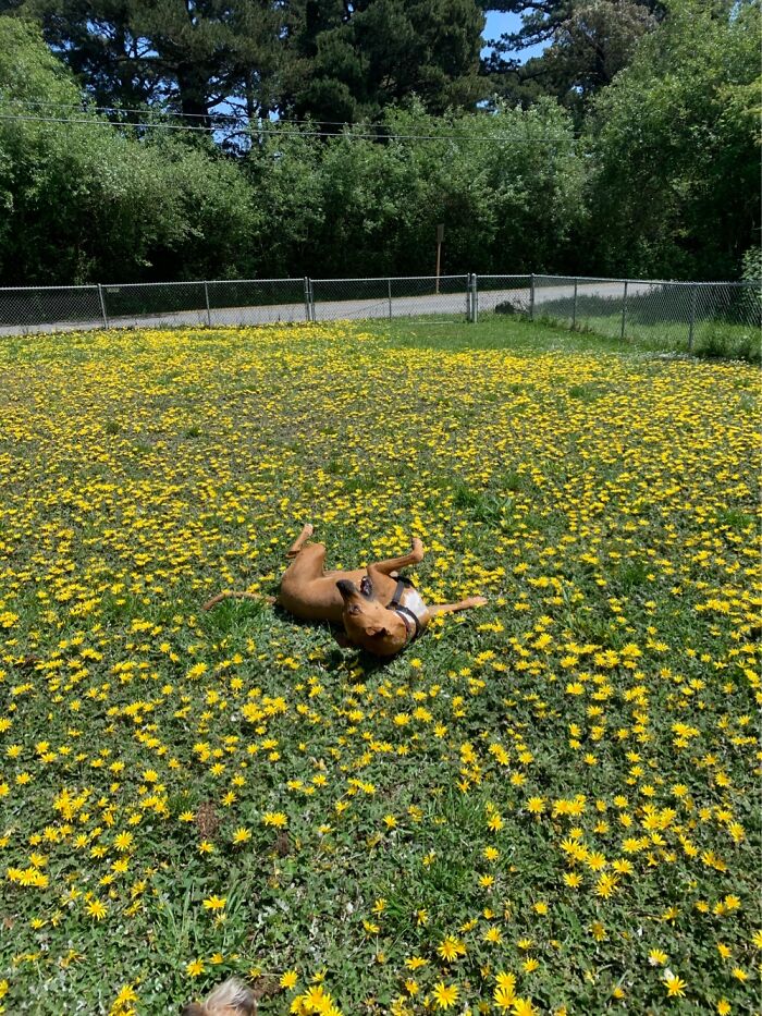 Hey Pandas, Post The Strangest And Funniest Photos Of Your Favorite Animals (Closed)